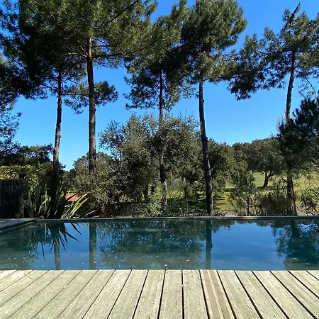 Villa 24