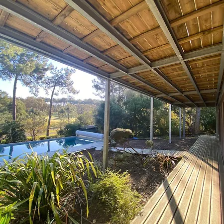 24 *